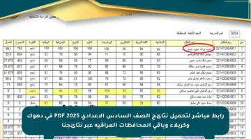رابط مباشر لتحميل نتائج الصف السادس الإعدادي 2025 PDF في دهوك وكربلاء وباقي المحافظات العراقية عبر نتائجنا